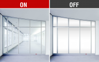 Switchable Smart Glass