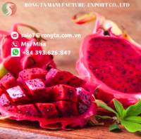 HIGHT QUALITY FRESH RED FLESH DRAGON FRUIT FROM VIETNAM