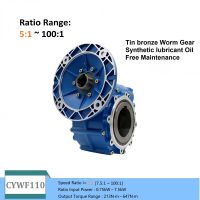 CHENYUE CYWF110 Worm Drive Gearbox With