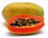 Maradol Red Lady Papaya