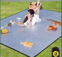 Camping Aluminum Film Picnic Mat, Moisture