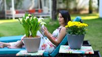 Sustainable planter