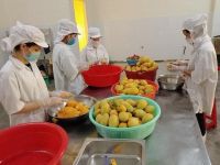 Soft Dried Mango From Vietnam Supplier