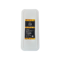 frozen mango puree 1kg