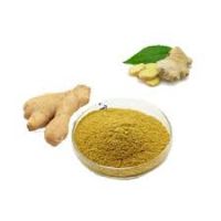 Ginger P.E.ï¼Å?Ginger extract