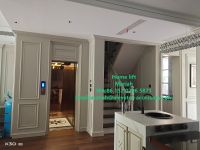 Stainless Steel Home Lift