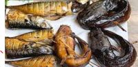 DRIED FISHES(CATFISH)