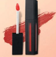 2024 Long-lasting Waterproof Moisturizing Lip