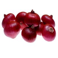 EXPORT-QUALITY FRESH RED ONION FOR SALE