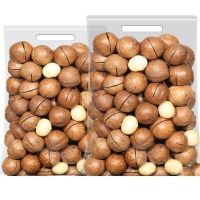 Fresh Macadamia Nuts Organic Macadamia Nuts With Crunchy Texture 99% Natural Healthy Snack For Daily Diet