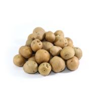 Carefully Packed Fresh Potatoes Export Quality Fresh Potatoes For Wholesale Supply And Retail Distribution