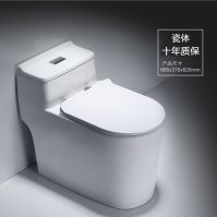 Wall Mounted Intelligent Toilet