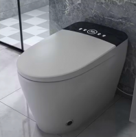 Floor Mounted Siphon smart toilet