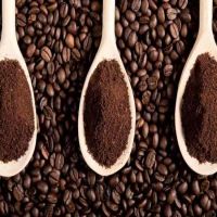 Premium Quality Agglomerated Instant Coffee With