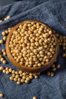 NON GMO Soybean