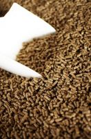 Cheap Quality Wood Pellets 