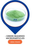 Organic Fertilizer Seaweed Water Soluble Fertilizer