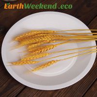 Disposable rice husk tableware set/biodegradable tableware/dinner tableware set