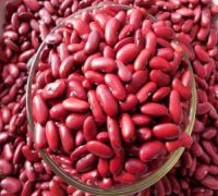 Black Kidney Beans/White Kidney Beans/Red Kidney Beans/Speckled Kidney Beans/Haricot Beans