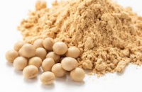 Best Exporter Of Soybean Meal Supplier