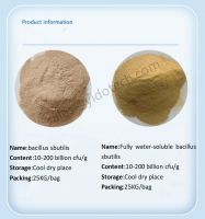 Popular Products Feed Additives Animal 10 biilion Bacillus subtilis Probiotics Feed Factory price Bacillus Subtilis