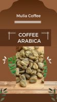 Gayo Arabica Coffee