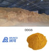 Distillers Dried Grains With Solubles