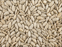 Sunflower Kernels