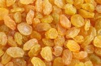 Quality Golden raisins