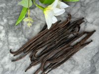 PLANIFOLIA VANILLA EXTRACT C GRADE