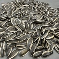 Sunflower Seed NO.363