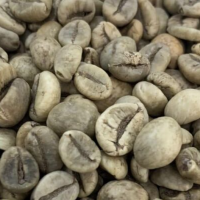 100% Natural Robusta Coffee Bean / Vietnam Green Coffee Beans / Wholesale Arabica Coffee Beans from Brazil