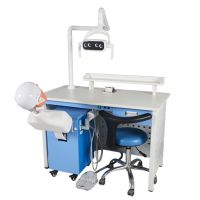 Medical Science Manikin Phantom Head Dental Simulator