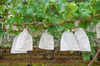 fruit protective bags&iuml;&frac14;�Loquat bag,Tomato bag, Guava bag
