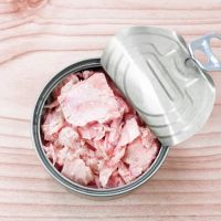 Canned Tuna in vegetable oil