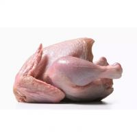 GACC QUALITY FROZEN CHICKEN