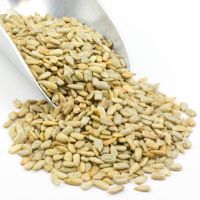 Wholesale High Quality Raw Origin Full grain Sunflower Seeds Kernels Dried snacks Nuts with Good Price