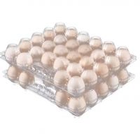 Plastic egg tray