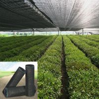 Agriculture/Greenhouse Virgin HDPE Shade Net