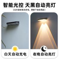 Solar LED Wall Light