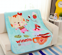 Wholesale 2ply korean blankets mink raschels double player raschel baby blanket for baby