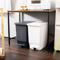 EBAN BUTTERFLY LID STEP ON TRASH