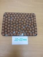 macadamia nuts