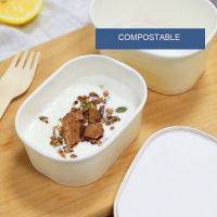  Ice Cream Square Box container Freezer Safe