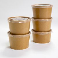 Takeaway Paper Soup Bowl