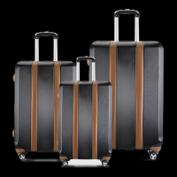 Fashion 3pcs Luxury ABS Luggage Set