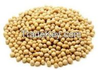 Soybean