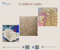 Cashew Nuts Export Worldwide Negotiable Price on Bulk Orders