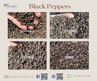 Black Peppers Negotiable Price With Perfect Package From Vietnam