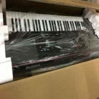 Korg PA1000 61-Key PRO Arranger Light Weight Keyboard